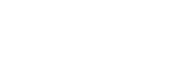 Websun Logo